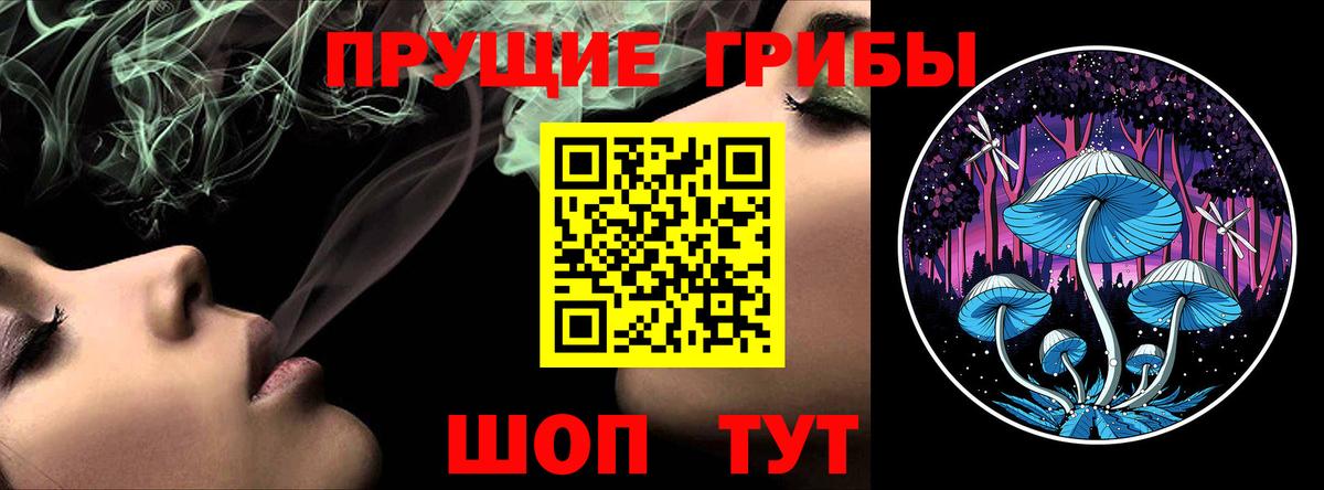 Сергиев Посад  Псилоцибиновые грибы мухоморы  Вход с VPN 