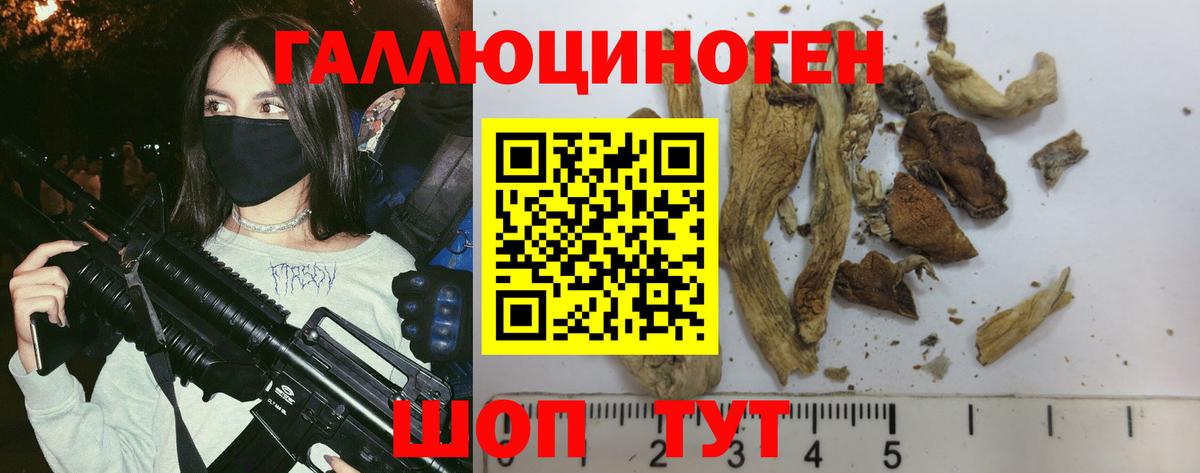Галлюциногенные грибы мухоморы Сергиев Посад